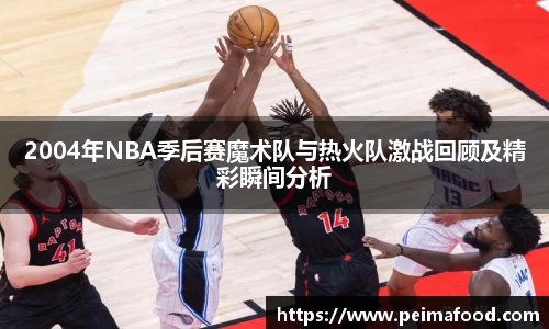 2004年NBA季后赛魔术队与热火队激战回顾及精彩瞬间分析